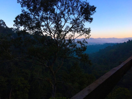 Discover Wandering-treehouse view, laos