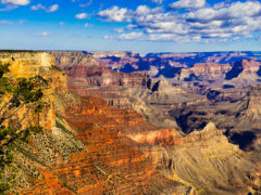 Grand Canyon Views